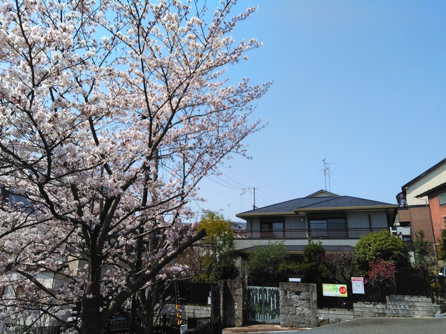 桜が咲く春の、だんらんの家 上沢の外観